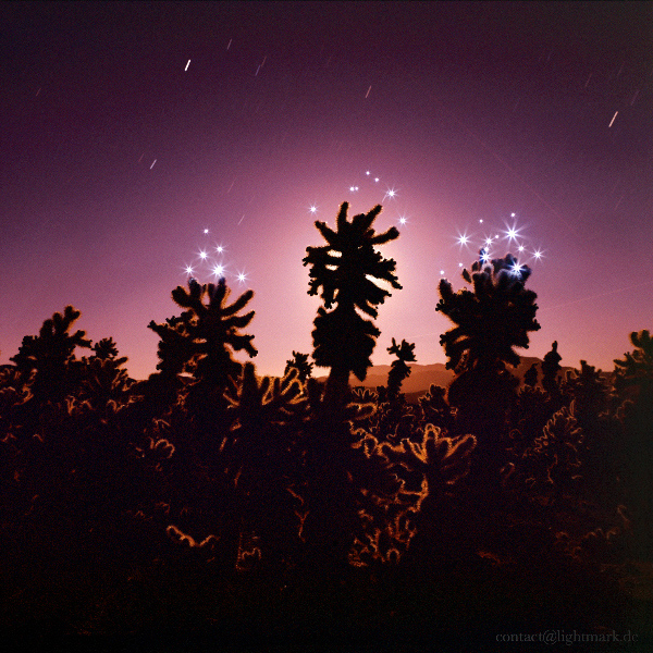 Amazing Light Painting created by Cenci Goepel & Jens Warnecke