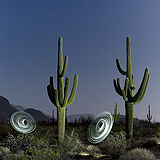 Lightmark No.112, Saguaro Cactus, Organ Pipe Cactus National Monument, Arizona, Light Painting, Night Photography.