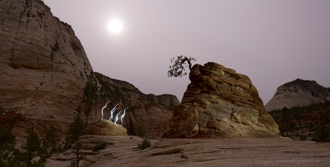 Lightmark No.119, Zion National Park, Utah, USA, Light Painting, Night Photography.