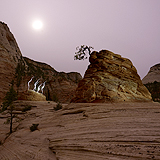 Lightmark No.119, Zion National Park, Utah, USA, Light Painting, Night Photography.