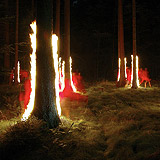 Lightmark No.14, Rosengarten, Germany, Light Painting, Night Photography.