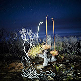 Lightmark No.74, Eagle Bay, Western Australia, Light Painting, Night Photography.